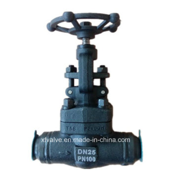 DIN Pn100 Forged Carbon Steel A105 Welding End Globe Valve